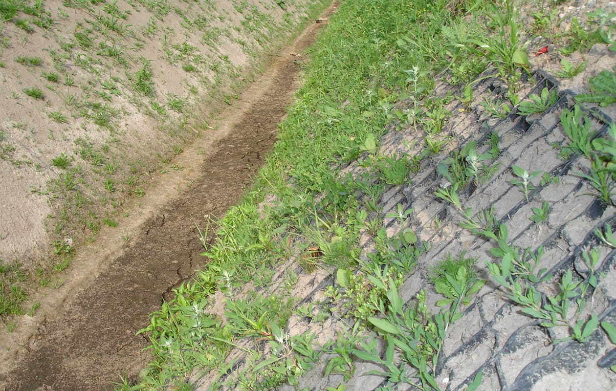 Erosion Control